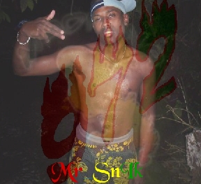 Mr_SnIcK